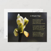 シンプルバドはがき ポストカード (正面/裏面)