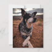 シンプルパインモダンベリーフルフォトホリデーカード シーズンカード (裏面)