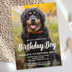 シンプルパピードッグ誕生日パカスタムーティPet写真 招待状