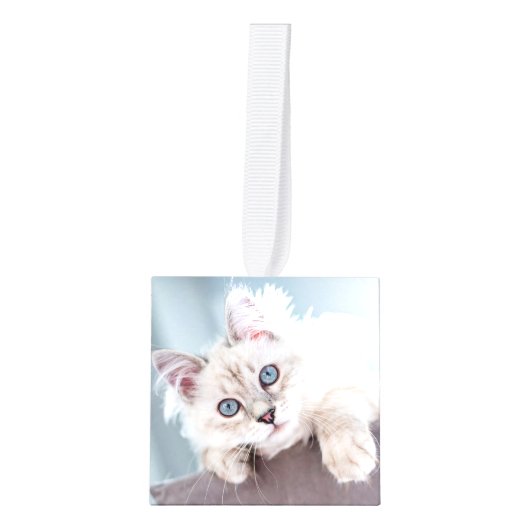 シンプルパーソナライズされたペット猫フォトクリスマス キューブオーナメント (正面)