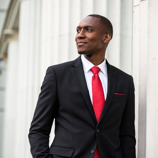 シンプルフォーマルミニマル赤プロフェッショナル企業の ネクタイ