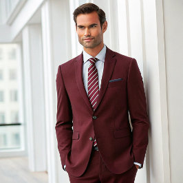 シンプルフォーマル赤と白ストライプ ネクタイ