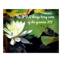 シンプルフロッグ感動的引用文