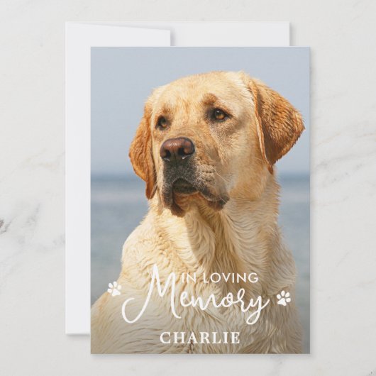 シンプルペット記念カスタム悔やみや弔慰犬の写真 サンキューカード (正面)