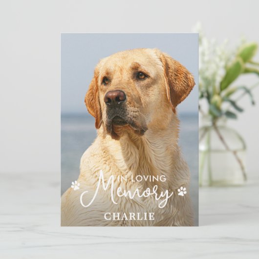 シンプルペット記念カスタム悔やみや弔慰犬の写真 サンキューカード (スタンド正面)
