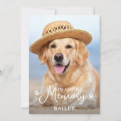 シンプルペット記念パーソナライズされた犬写真 サンキューカード (正面)