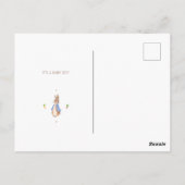 シンプルペーターザラビットベイビーシャワーバジェット招待状 ポストカード (裏面)