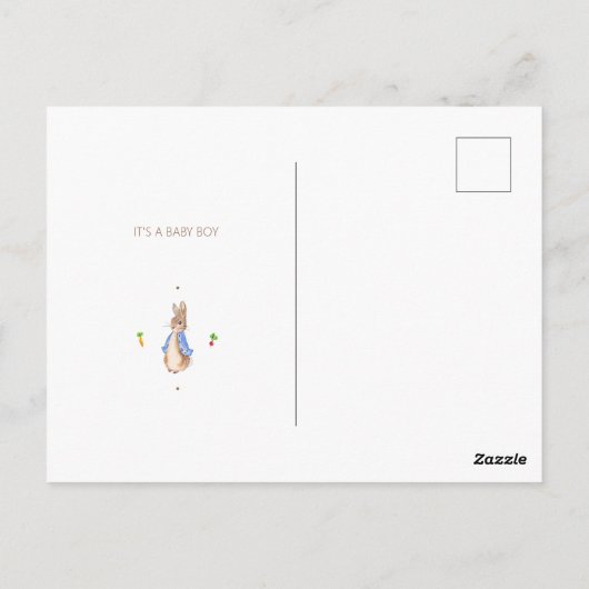 シンプルペーターザラビットベイビーシャワーバジェット招待状 ポストカード (裏面)