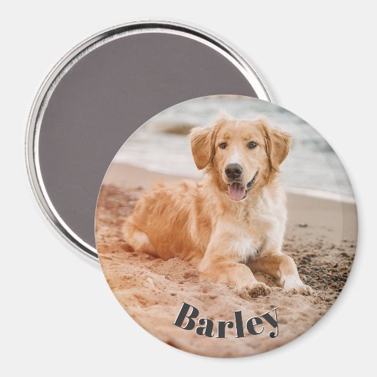 シンプルミニマル愛犬の写真名モダン可愛 マグネット (正面/裏面)