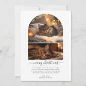 シンプルメイ・メリークリスマスかわいい猫アーチ写真 シーズンカード (正面)