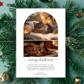 シンプルメイ・メリークリスマスかわいい猫アーチ写真 シーズンカード