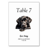 シンプルモダンウォーター結婚ー テーブルナンバー (正面)