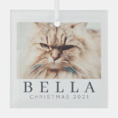 シンプルモダンシックカスタムファミリーペットホリデー ガラスオーナメント (正面)