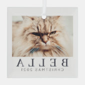 シンプルモダンシックカスタムファミリーペットホリデー ガラスオーナメント (裏面)