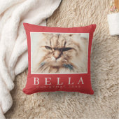 シンプルモダンシックカスタムファミリーペットホリデー クッション (ブランケット)