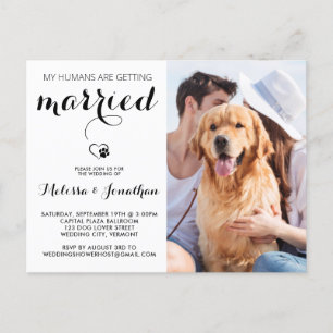 シンプルモダンドッグパーソナライズされた写真結婚Pet インビテーションポストカード