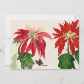 シンプルモダンPoinsettia家族の写真クリスマス シーズンカード (裏面)