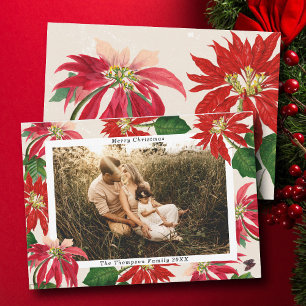 シンプルモダンPoinsettia家族の写真クリスマス シーズンカード