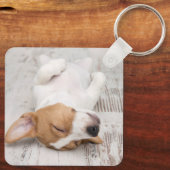 シンプルモダンScript Dog Name 2 Photo キーホルダー (裏面)