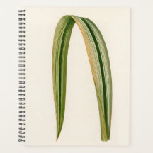 シンプルリーフ植物性ママパパ