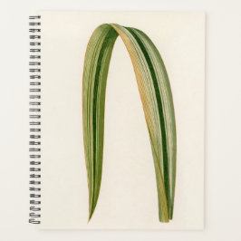 シンプルリーフ植物性ママパパ プランナー手帳