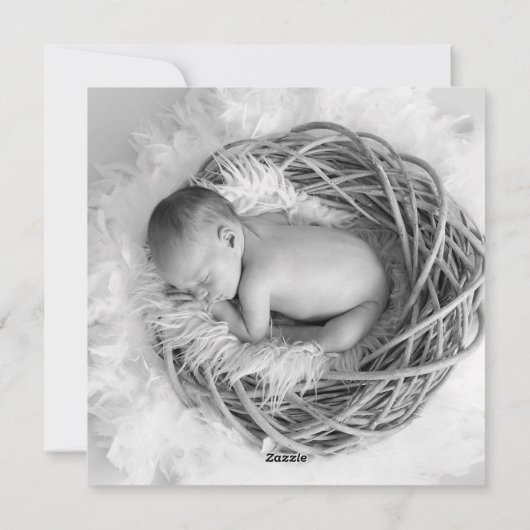 シンプル写真の誕生発表をブロック シーズンカード (裏面)