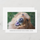 シンプル写真上級犬ペット養子縁組のお知らせ 案内状 (正面/裏面)