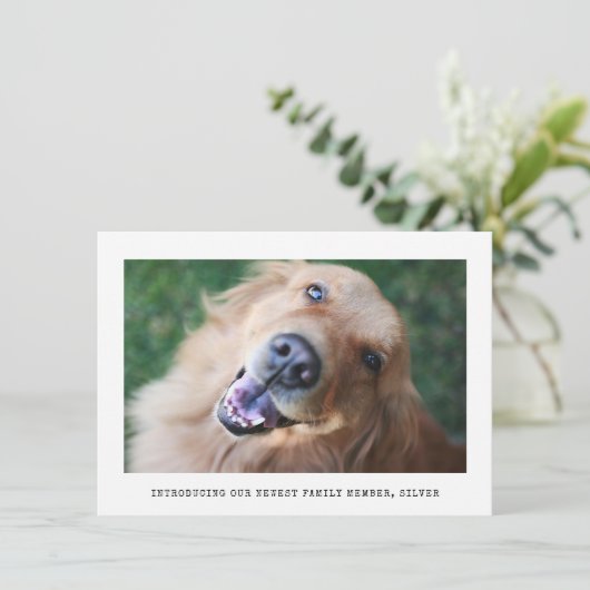 シンプル写真上級犬ペット養子縁組のお知らせ 案内状 (スタンド正面)