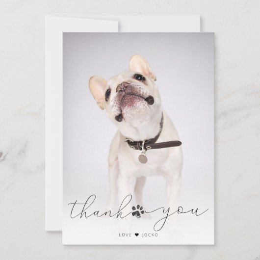 シンプル台本ペット記念写真ありがとう サンキューカード (正面)