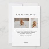 シンプル型おもしろいペットのクリスマス シーズンカード (裏面)