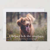 シンプル型おもしろいペットのクリスマス シーズンカード (正面)