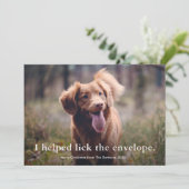 シンプル型おもしろいペットのクリスマス シーズンカード (スタンド正面)