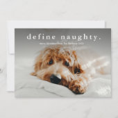 シンプル型おもしろいペットのクリスマス シーズンカード (正面)