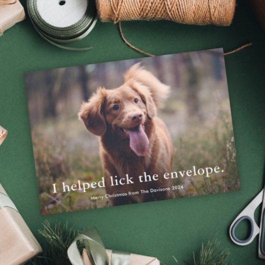 シンプル型おもしろいペットのクリスマス シーズンカード