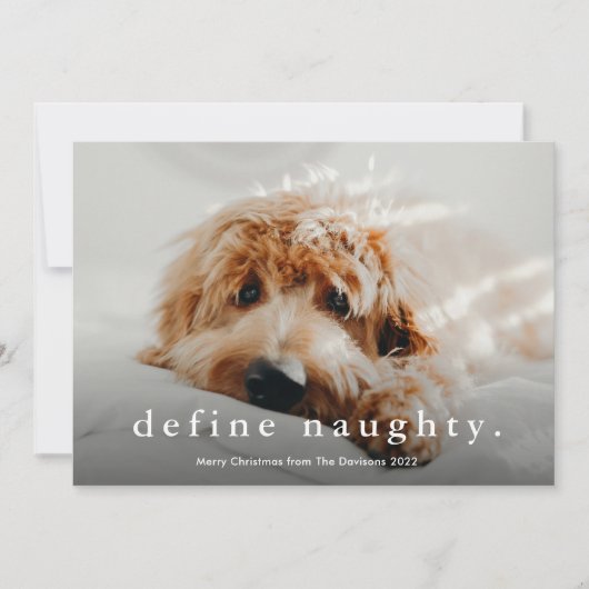 シンプル型おもしろいペットのクリスマス シーズンカード (正面)