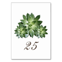 シンプル多糖結婚テーブルカード テーブルナンバー