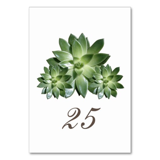 シンプル多糖結婚テーブルカード テーブルナンバー (正面)