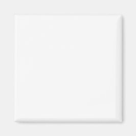 シンプル権®磁石 マグネット