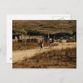 シンプル歩き葉書 ポストカード (正面/裏面)