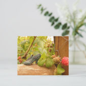 シンプル物 ポストカード (スタンド正面)