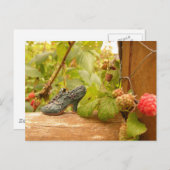 シンプル物 ポストカード (正面/裏面)