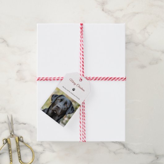 シンプル犬の写真メリークリスマス ギフトタグ (より糸付き)