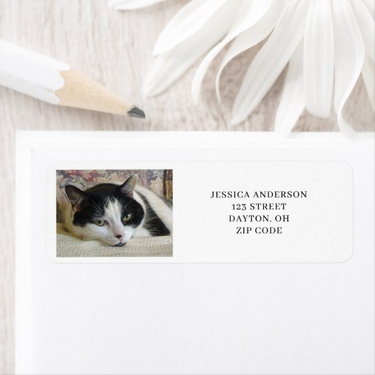 シンプル猫フォト差出人住所 ラベル (インサイチュ)