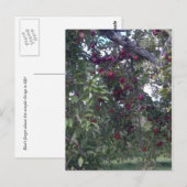 シンプル生活楽 ポストカード (正面/裏面)