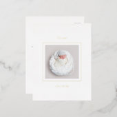 シンプル男の赤ちゃん誕生発表箔 箔招待状ポストカード (正面/裏面)