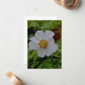 シンプル白い牡丹の花 ノートカード (正面/裏面インサイチュ)