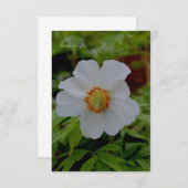 シンプル白い牡丹の花 ノートカード (正面/裏面)