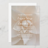 シンプル白フローラ庭園の結婚式パーティー 招待状 (正面/裏面)