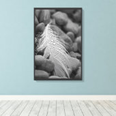 シンプル白黒羽羽毛水滴 キャンバスプリント (インサイチュ (ウッドフロア))