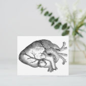 シンプル白黒解剖ハートイラストレーション ポストカード (スタンド正面)